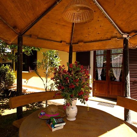Agriturismo I Cerroni Монтескудайо Экстерьер фото